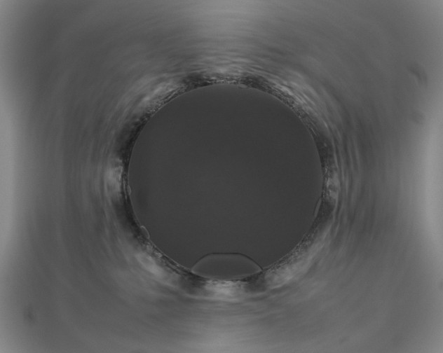 X0000112470231200908241239