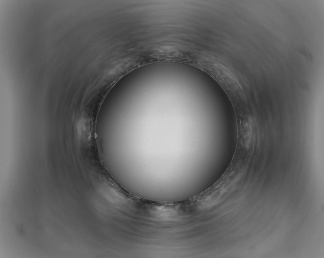 X0000112470232200908241239