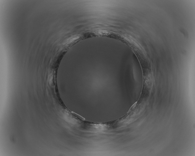 X0000112470233200908241239