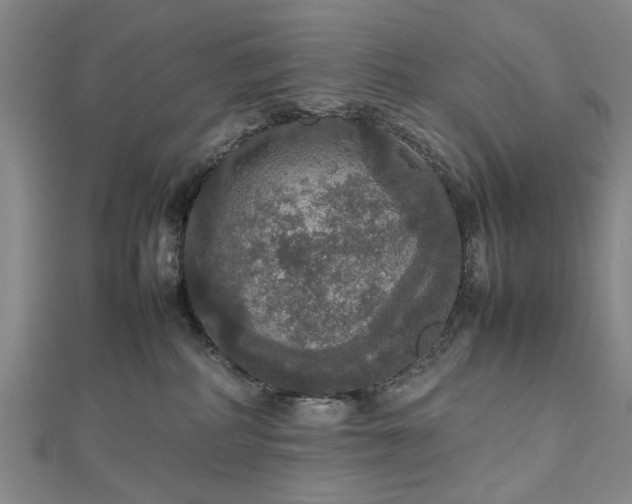 X0000112470234200908241239