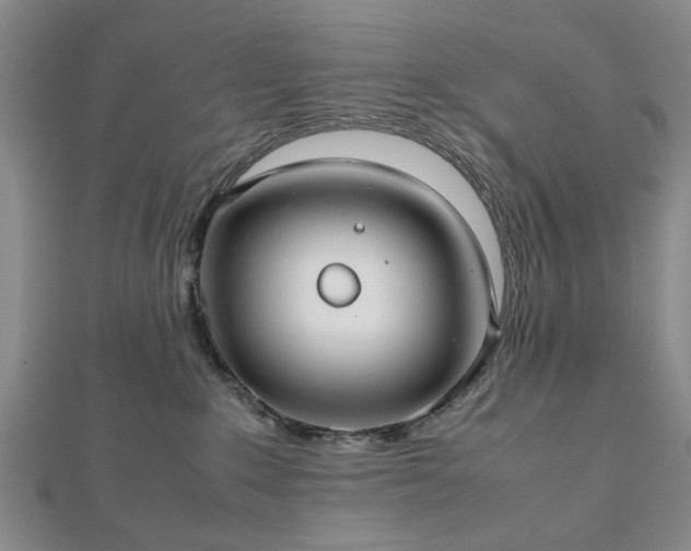 X0000112470235200908241239