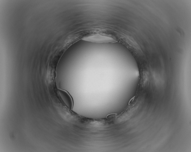 X0000112470236200908241239