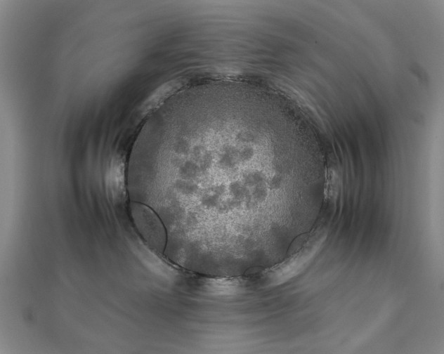 X0000112470238200908241239