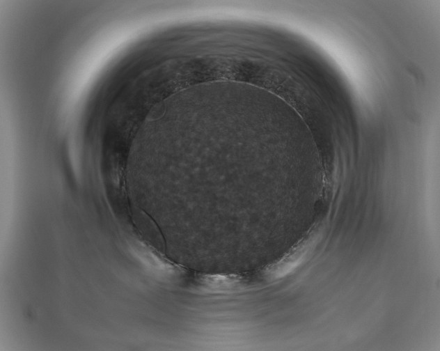 X0000112470239200908241239