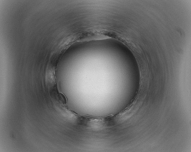 X0000112470240200908241239