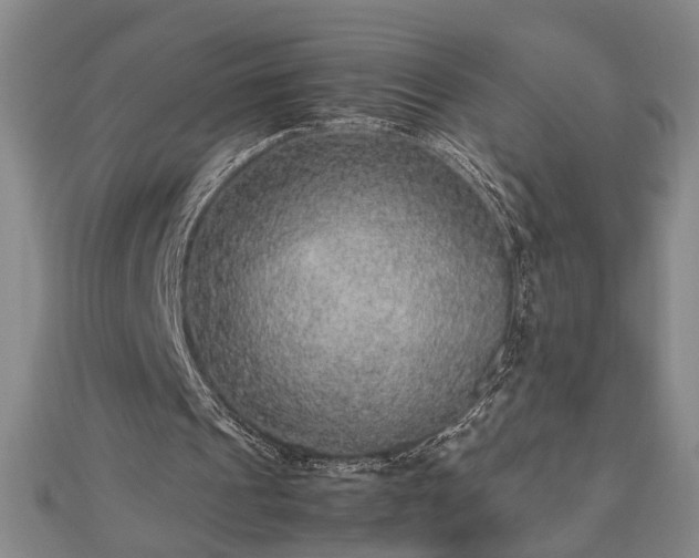 X0000112470241200908241239