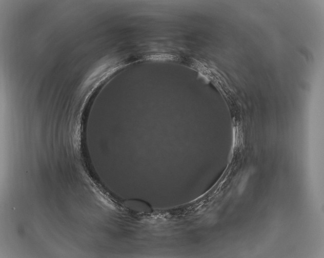 X0000112470243200908241239