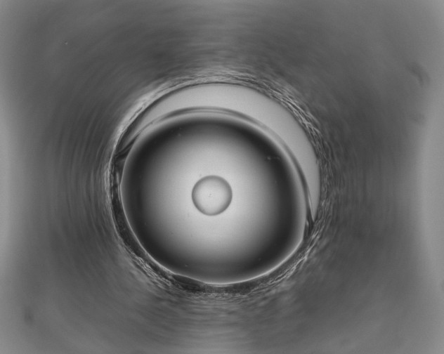 X0000112470244200908241239