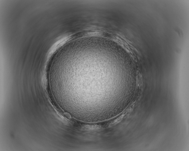 X0000112470245200908241239