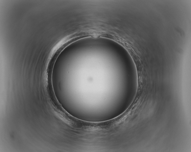 X0000112470246200908241239