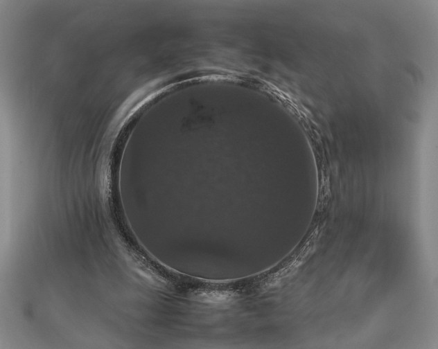 X0000112470247200908241239