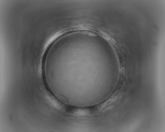 X0000112470248200908241239