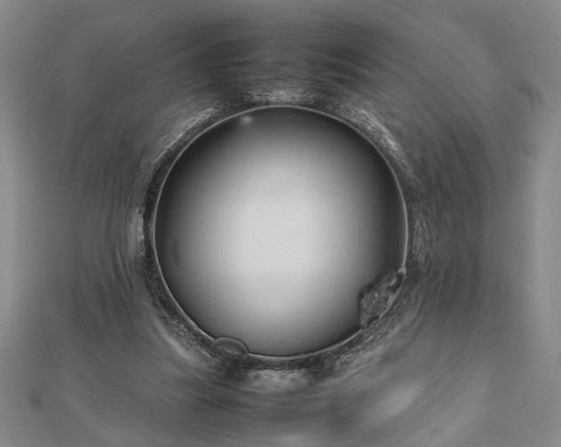 X0000112470251200908241239