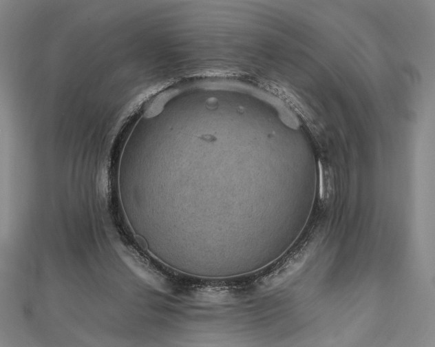 X0000112470252200908241239