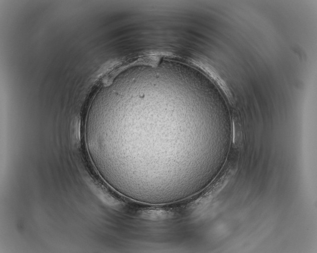 X0000112470253200908241239