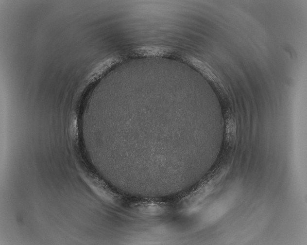 X0000112470254200908241239