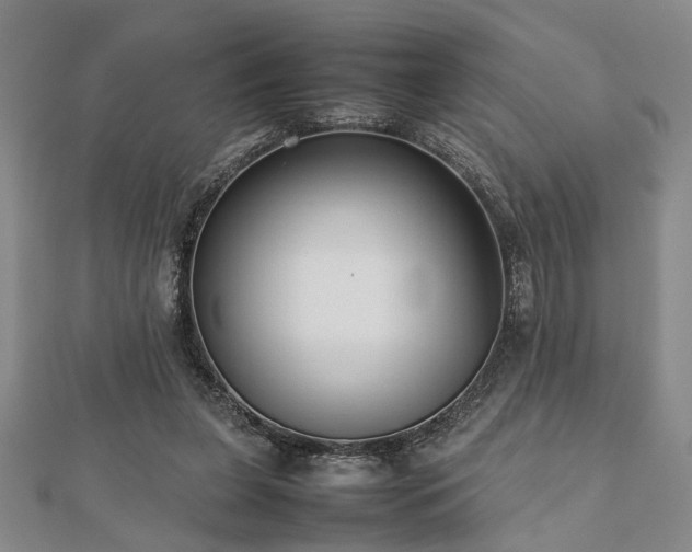 X0000112470255200908241239