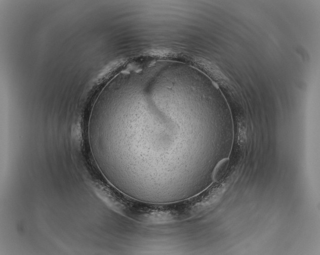 X0000112470256200908241239