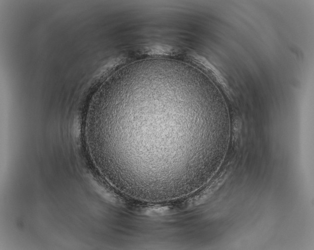 X0000112470257200908241239