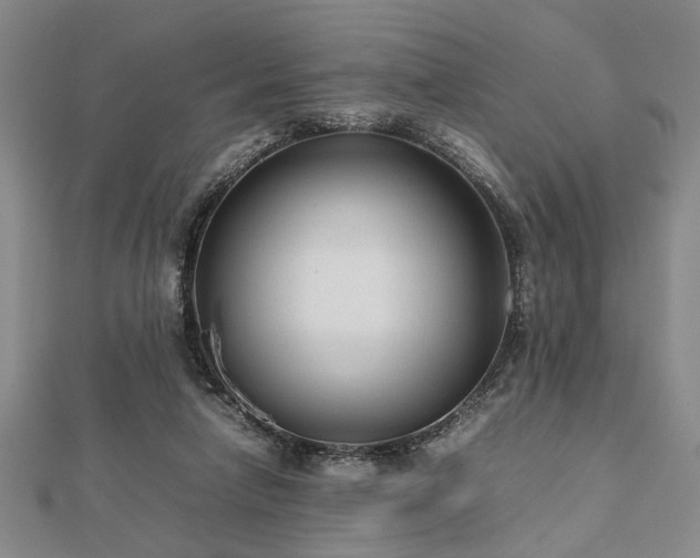 X0000112470258200908241239