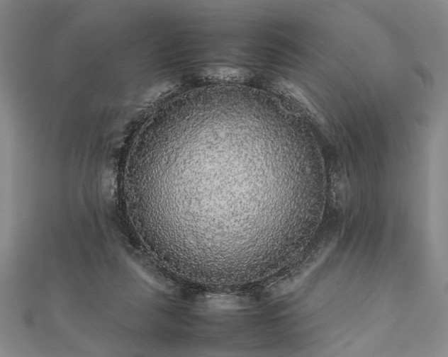 X0000112470259200908241239