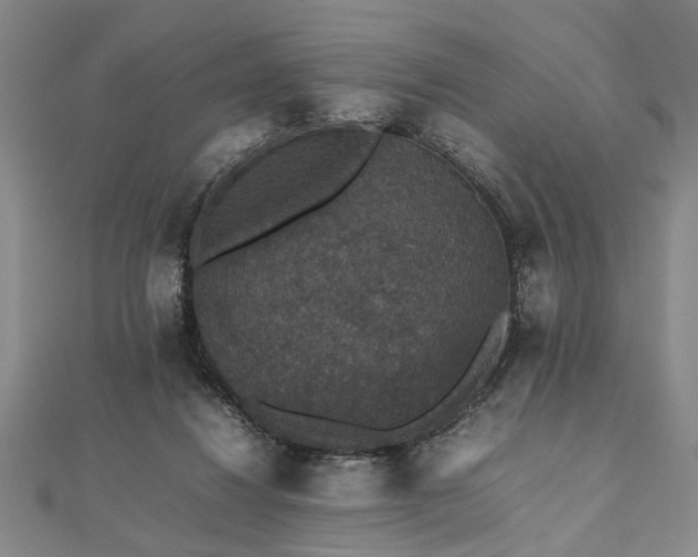 X0000112470260200908241239