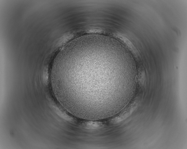 X0000112470261200908241239