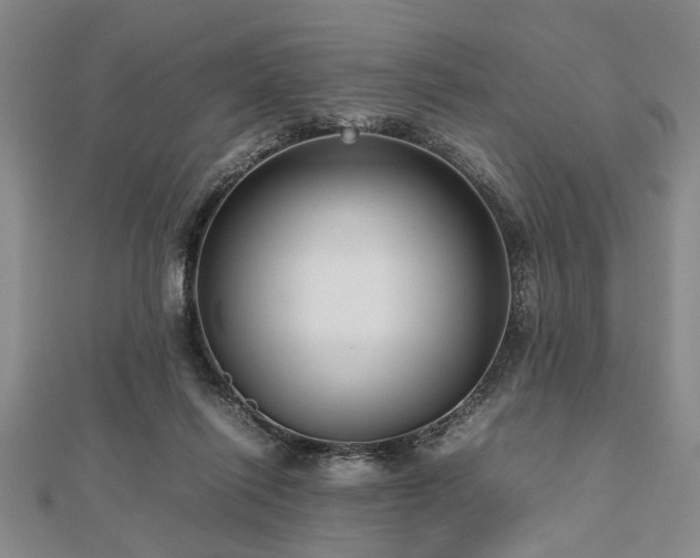 X0000112470262200908241239