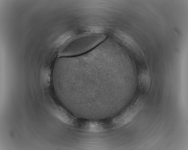 X0000112470264200908241239