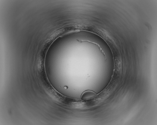 X0000112470266200908241239