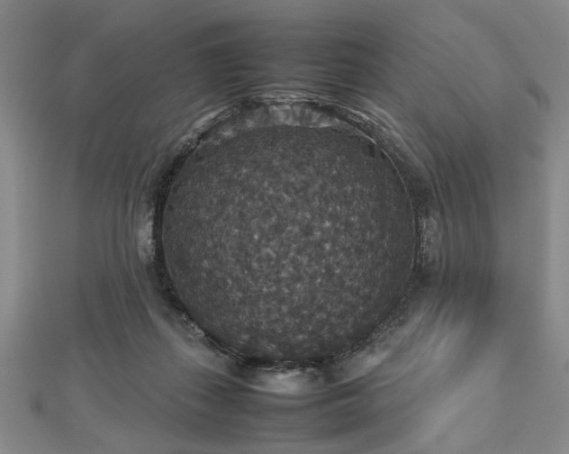 X0000112470267200908241239