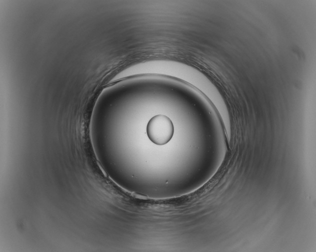 X0000112470268200908241239