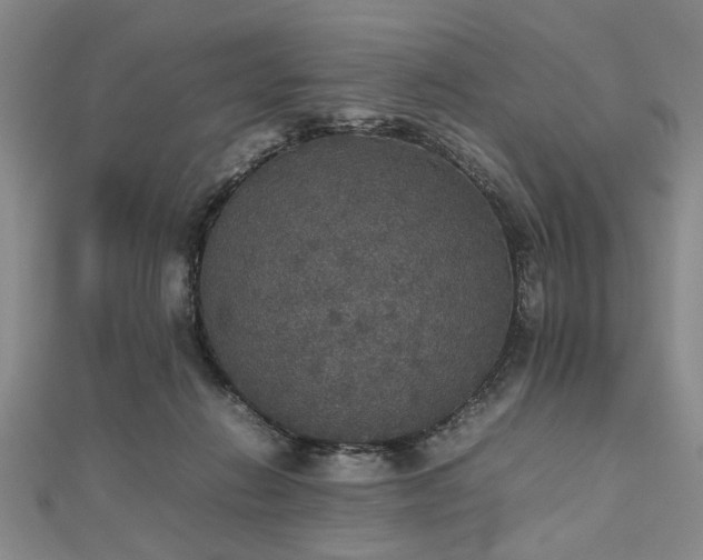 X0000112470270200908241239