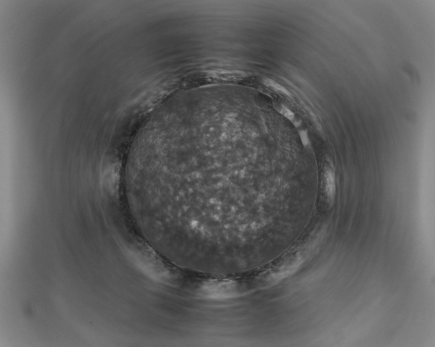 X0000112470271200908241239