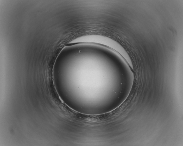 X0000112470272200908241239