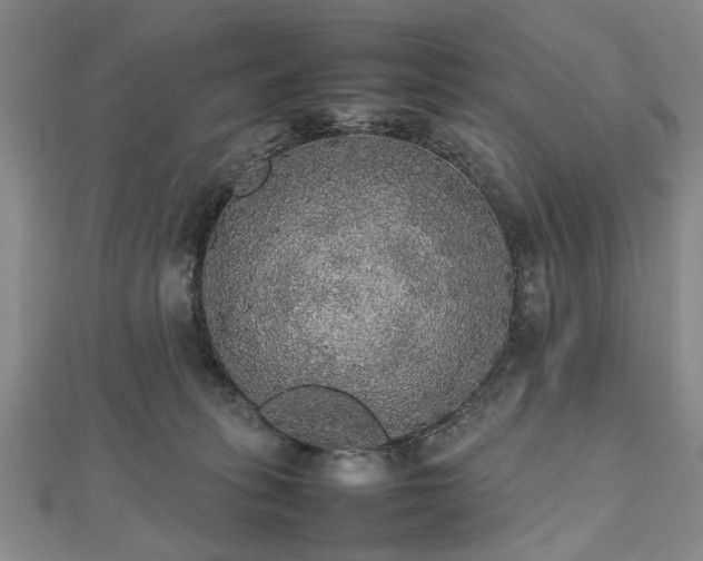 X0000112470275200908241239