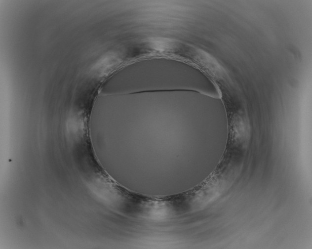 X0000112470276200908241239