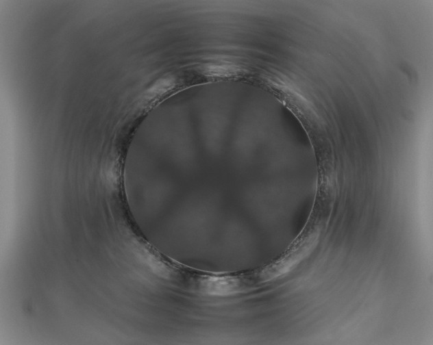 X0000112470277200908241239