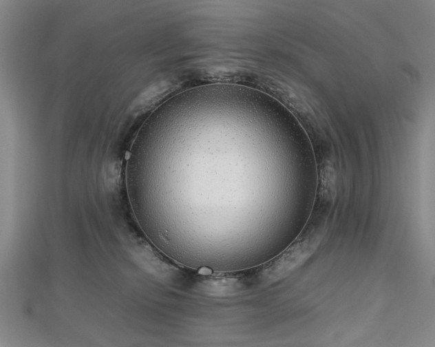 X0000112470278200908241239