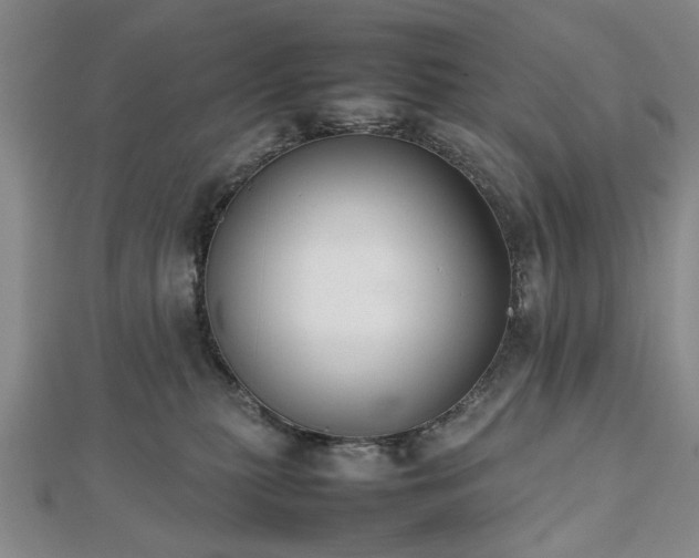 X0000112470279200908241239