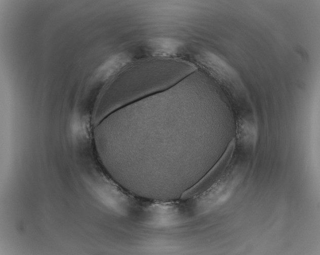 X0000112470280200908241239