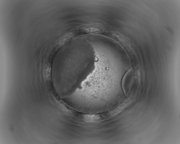 X0000112470281200908241239