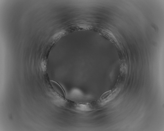 X0000112470285200908241239