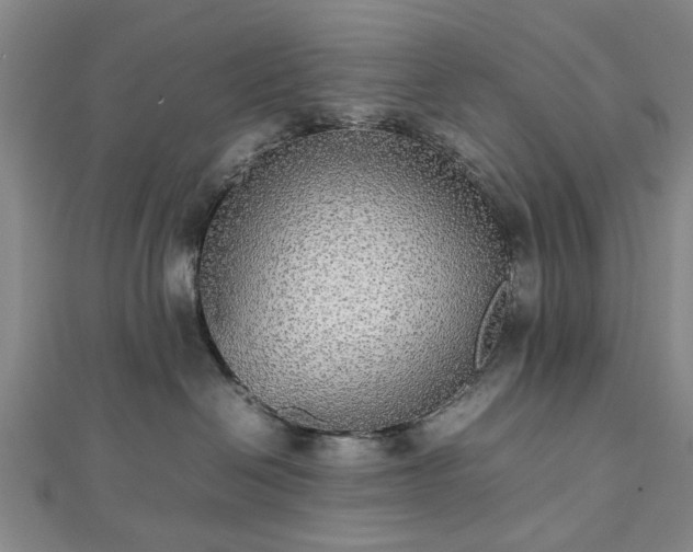 X0000112470286200908241239