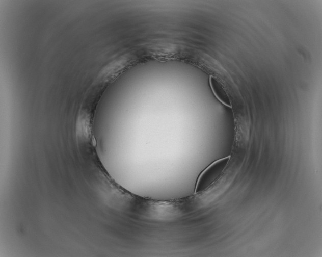 X0000112470287200908241239