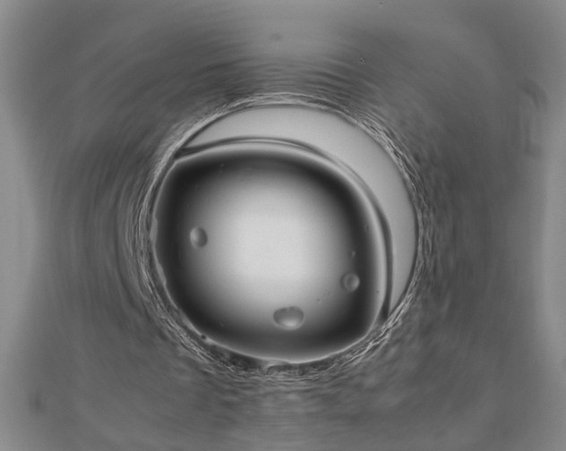 X0000112470289200908241239