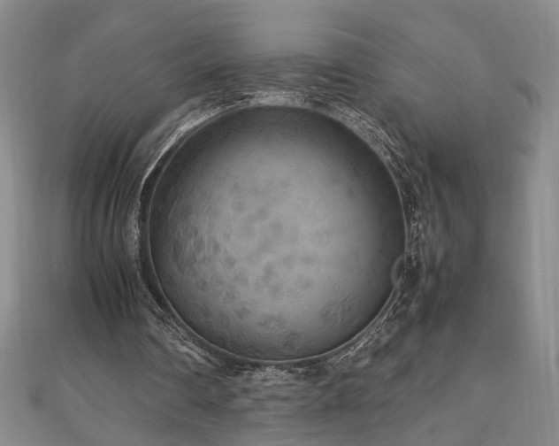 X0000112470290200908241239