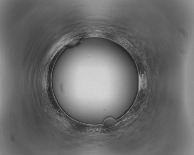 X0000112470291200908241239