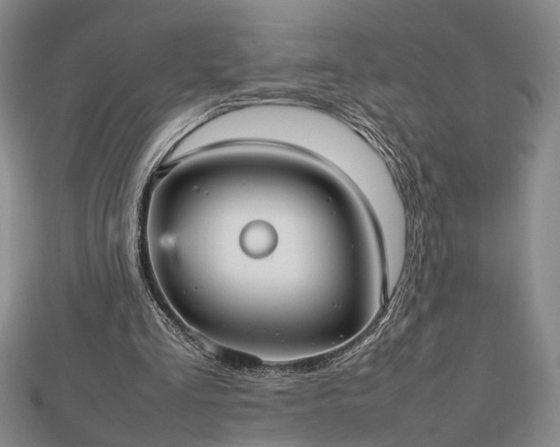 X0000112470293200908241239