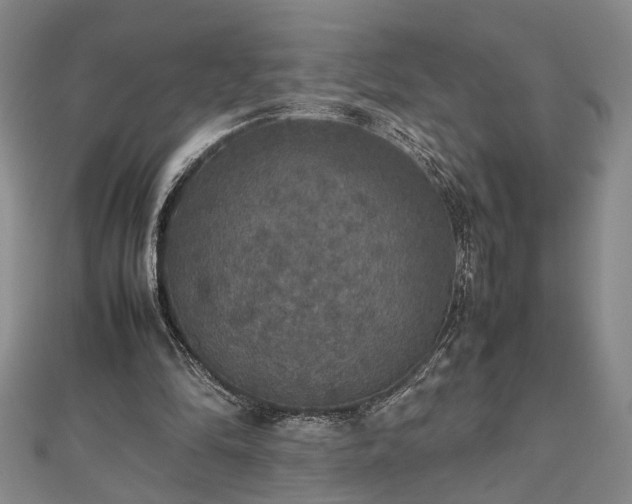 X0000112470294200908241239